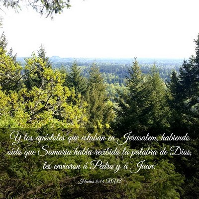 Picture 03 - Hechos 8:14 RVA - Y los apóstoles que estaban en Jerusalem, - Bible Verse Picture