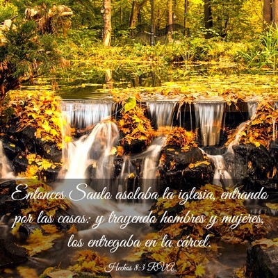 Picture 03 - Hechos 8:3 RVA - Entonces Saulo asolaba la iglesia, entrando por - Bible Verse Picture