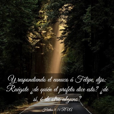 Picture 03 - Hechos 8:34 RVA - Y respondiendo el eunuco á Felipe, dijo: - Bible Verse Picture