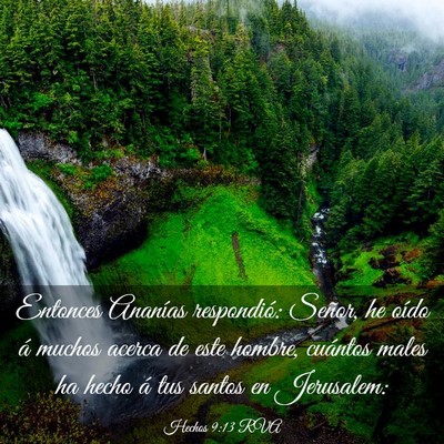 Picture 03 - Hechos 9:13 RVA - Entonces Ananías respondió: Señor, he oído á - Bible Verse Picture