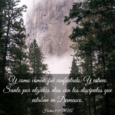 Picture 03 - Hechos 9:19 RVA - Y como comió, fué confortado. Y estuvo Saulo - Bible Verse Picture