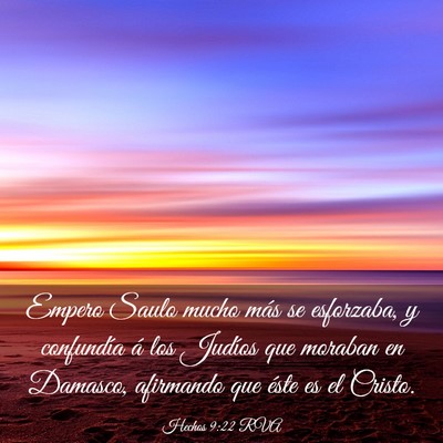 Picture 03 - Hechos 9:22 RVA - Empero Saulo mucho más se esforzaba, y - Bible Verse Picture