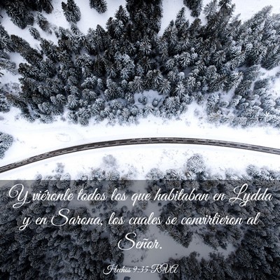 Picture 03 - Hechos 9:35 RVA - Y viéronle todos los que habitaban en Lydda y en - Bible Verse Picture
