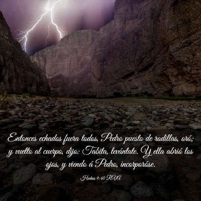 Picture 03 - Hechos 9:40 RVA - Entonces echados fuera todos, Pedro puesto de - Bible Verse Picture