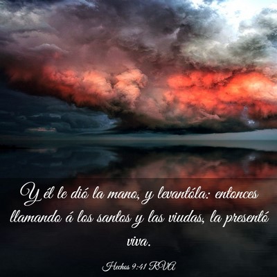 Picture 03 - Hechos 9:41 RVA - Y él le dió la mano, y levantóla: entonces - Bible Verse Picture