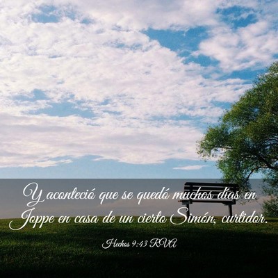 Picture 03 - Hechos 9:43 RVA - Y aconteció que se quedó muchos días en Joppe - Bible Verse Picture