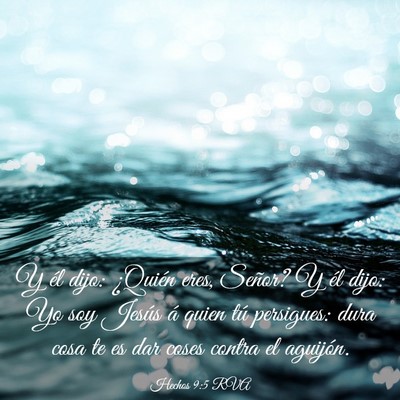 Picture 03 - Hechos 9:5 RVA - Y él dijo: ¿Quién eres, Señor? Y él dijo: Yo - Bible Verse Picture