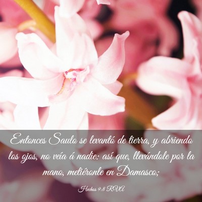 Picture 03 - Hechos 9:8 RVA - Entonces Saulo se levantó de tierra, y abriendo - Bible Verse Picture