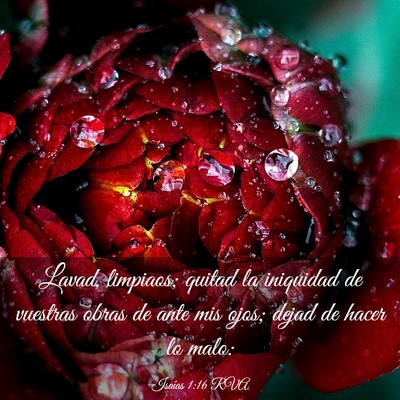 Picture 03 - Isaías 1:16 RVA - Lavad, limpiaos; quitad la iniquidad de vuestras - Bible Verse Picture