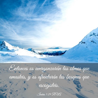 Picture 03 - Isaías 1:29 RVA - Entonces os avergonzarán los olmos que amasteis, - Bible Verse Picture