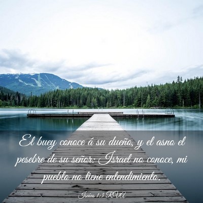 Picture 03 - Isaías 1:3 RVA - El buey conoce á su dueño, y el asno el pesebre - Bible Verse Picture