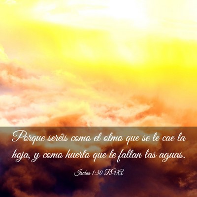 Picture 03 - Isaías 1:30 RVA - Porque seréis como el olmo que se le cae la - Bible Verse Picture