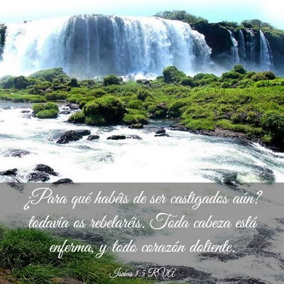Picture 03 - Isaías 1:5 RVA - ¿Para qué habéis de ser castigados aún? - Bible Verse Picture