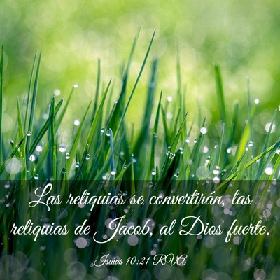Picture 03 - Isaías 10:21 RVA - Las reliquias se convertirán, las reliquias de - Bible Verse Picture