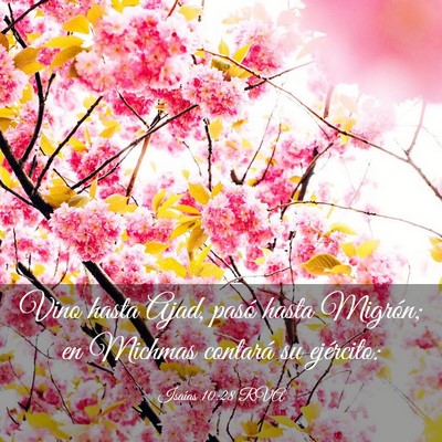 Picture 03 - Isaías 10:28 RVA - Vino hasta Ajad, pasó hasta Migrón; en Michmas - Bible Verse Picture