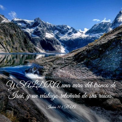 Picture 03 - Isaías 11:1 RVA - Y SALDRA una vara del tronco de Isaí, y un - Bible Verse Picture