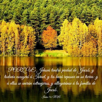 Picture 03 - Isaías 14:1 RVA - PORQUE Jehová tendrá piedad de Jacob, y - Bible Verse Picture