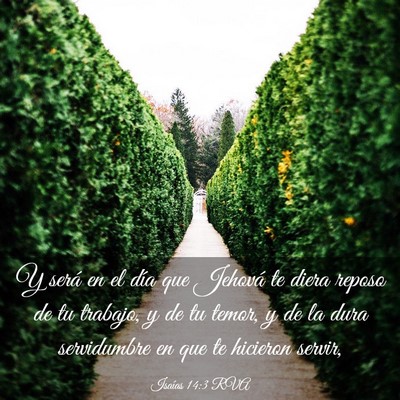Picture 03 - Isaías 14:3 RVA - Y será en el día que Jehová te diera reposo de - Bible Verse Picture