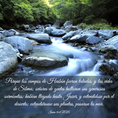 Picture 03 - Isaías 16:8 RVA - Porque los campos de Hesbón fueron talados, y - Bible Verse Picture