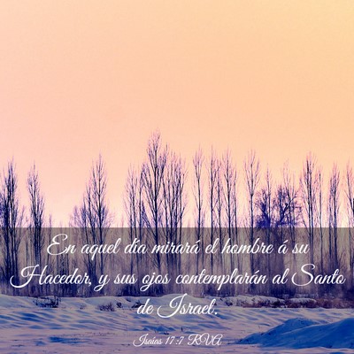Picture 03 - Isaías 17:7 RVA - En aquel día mirará el hombre á su Hacedor, y - Bible Verse Picture
