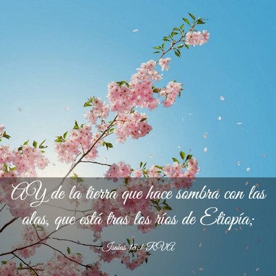 Picture 03 - Isaías 18:1 RVA - AY de la tierra que hace sombra con las alas, que - Bible Verse Picture