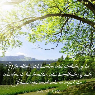 Picture 03 - Isaías 2:17 RVA - Y la altivez del hombre será abatida, y la - Bible Verse Picture