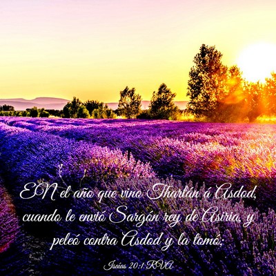 Picture 03 - Isaías 20:1 RVA - EN el año que vino Thartán á Asdod, cuando le - Bible Verse Picture