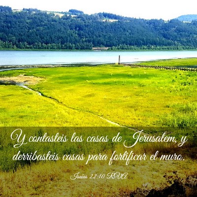 Picture 03 - Isaías 22:10 RVA - Y contasteis las casas de Jerusalem, y - Bible Verse Picture