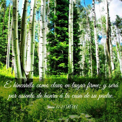 Picture 03 - Isaías 22:23 RVA - E hincarélo como clavo en lugar firme; y será - Bible Verse Picture