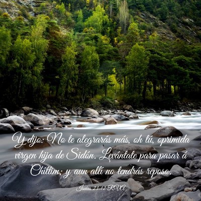 Picture 03 - Isaías 23:12 RVA - Y dijo: No te alegrarás más, oh tú, oprimida - Bible Verse Picture