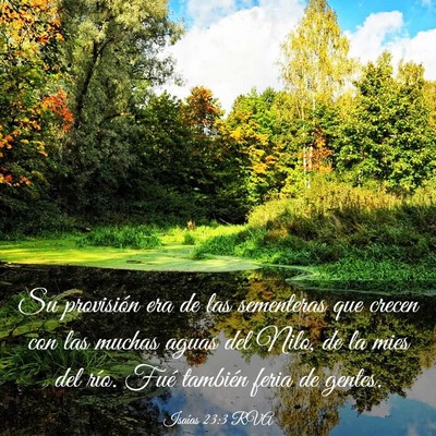 Picture 03 - Isaías 23:3 RVA - Su provisión era de las sementeras que crecen - Bible Verse Picture