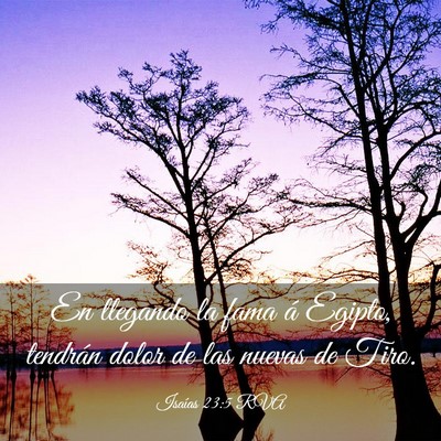 Picture 03 - Isaías 23:5 RVA - En llegando la fama á Egipto, tendrán dolor de - Bible Verse Picture