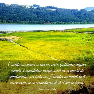 Picture 03 - Isaías 27:11 RVA - Cuando sus ramas se secaren, serán quebradas; - Bible Verse Picture