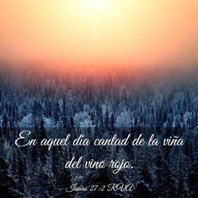 Picture 03 - Isaías 27:2 RVA - En aquel día cantad de la viña del vino - Bible Verse Picture