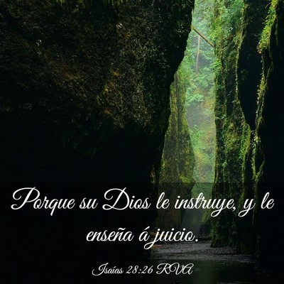 Picture 03 - Isaías 28:26 RVA - Porque su Dios le instruye, y le enseña á - Bible Verse Picture