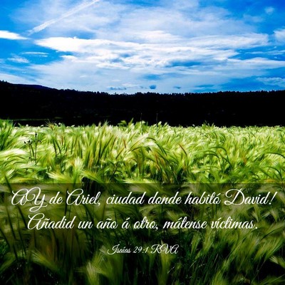 Picture 03 - Isaías 29:1 RVA - AY de Ariel, ciudad donde habitó David! Añadid - Bible Verse Picture