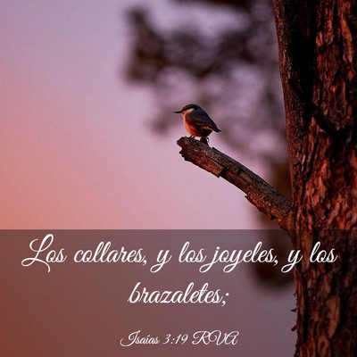 Picture 03 - Isaías 3:19 RVA - Los collares, y los joyeles, y los - Bible Verse Picture