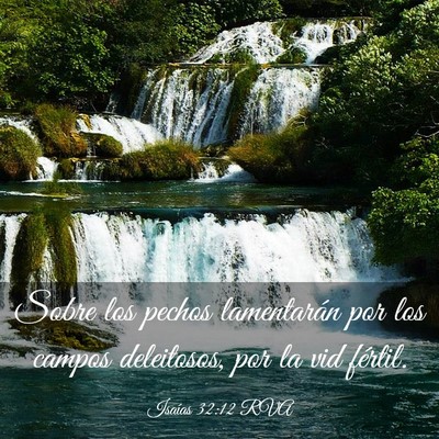 Picture 03 - Isaías 32:12 RVA - Sobre los pechos lamentarán por los campos - Bible Verse Picture