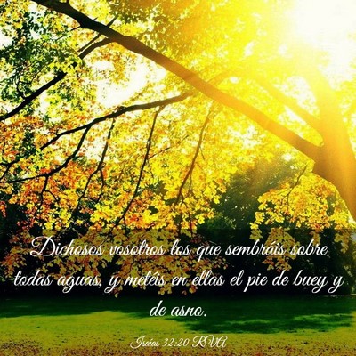 Picture 03 - Isaías 32:20 RVA - Dichosos vosotros los que sembráis sobre todas - Bible Verse Picture
