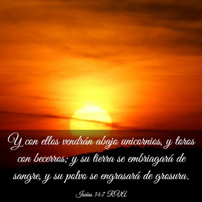 Picture 03 - Isaías 34:7 RVA - Y con ellos vendrán abajo unicornios, y toros - Bible Verse Picture