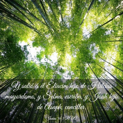 Picture 03 - Isaías 36:3 RVA - Y salió á él Eliacim hijo de Hilcías - Bible Verse Picture