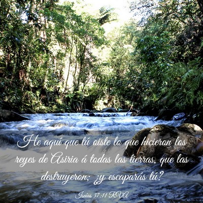 Picture 03 - Isaías 37:11 RVA - He aquí que tú oiste lo que hicieron los reyes - Bible Verse Picture