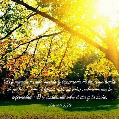 Picture 03 - Isaías 38:12 RVA - Mi morada ha sido movida y traspasada de mí, - Bible Verse Picture