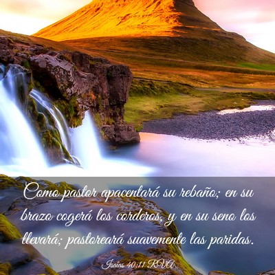 Picture 03 - Isaías 40:11 RVA - Como pastor apacentará su rebaño; en su brazo - Bible Verse Picture