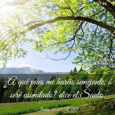 Picture 03 - Isaías 40:25 RVA - ¿A qué pues me haréis semejante, ó seré - Bible Verse Picture
