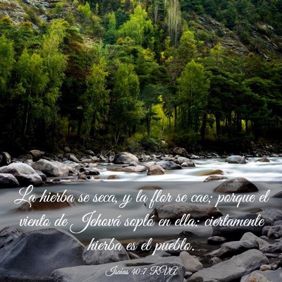 Picture 03 - Isaías 40:7 RVA - La hierba se seca, y la flor se cae; porque el - Bible Verse Picture