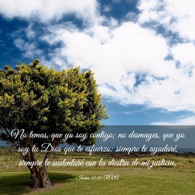 Picture 03 - Isaías 41:10 RVA - No temas, que yo soy contigo; no desmayes, que yo - Bible Verse Picture