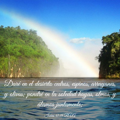 Picture 03 - Isaías 41:19 RVA - Daré en el desierto cedros, espinos, arrayanes, - Bible Verse Picture