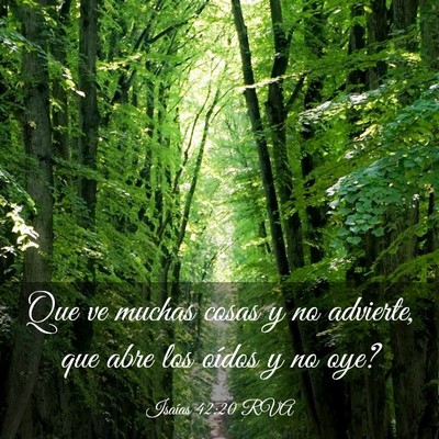 Picture 03 - Isaías 42:20 RVA - Que ve muchas cosas y no advierte, que abre los - Bible Verse Picture