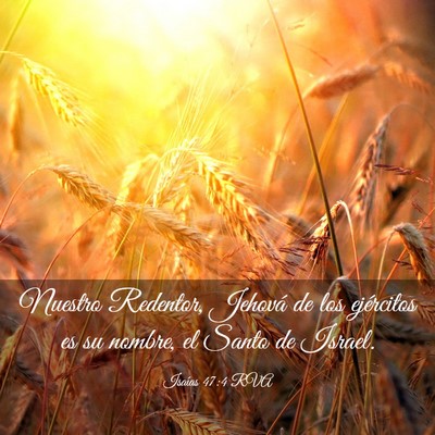 Picture 03 - Isaías 47:4 RVA - Nuestro Redentor, Jehová de los ejércitos es su - Bible Verse Picture